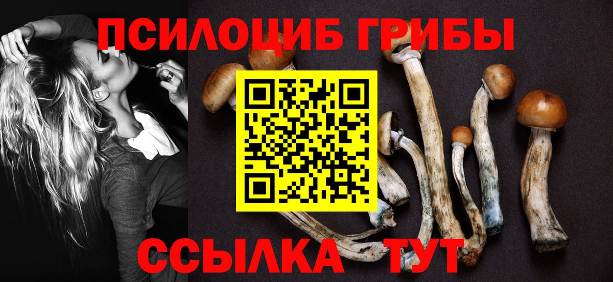 Псилоцибиновые грибы мицелий Воткинск